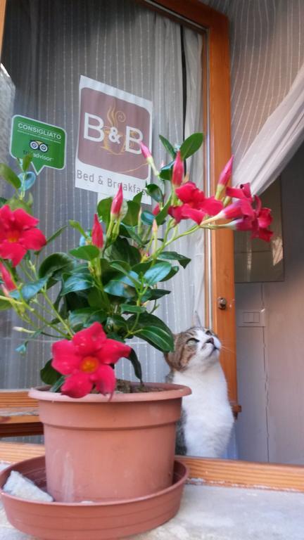 Castel di Casio B&B Borgo Massovrana מראה חיצוני תמונה